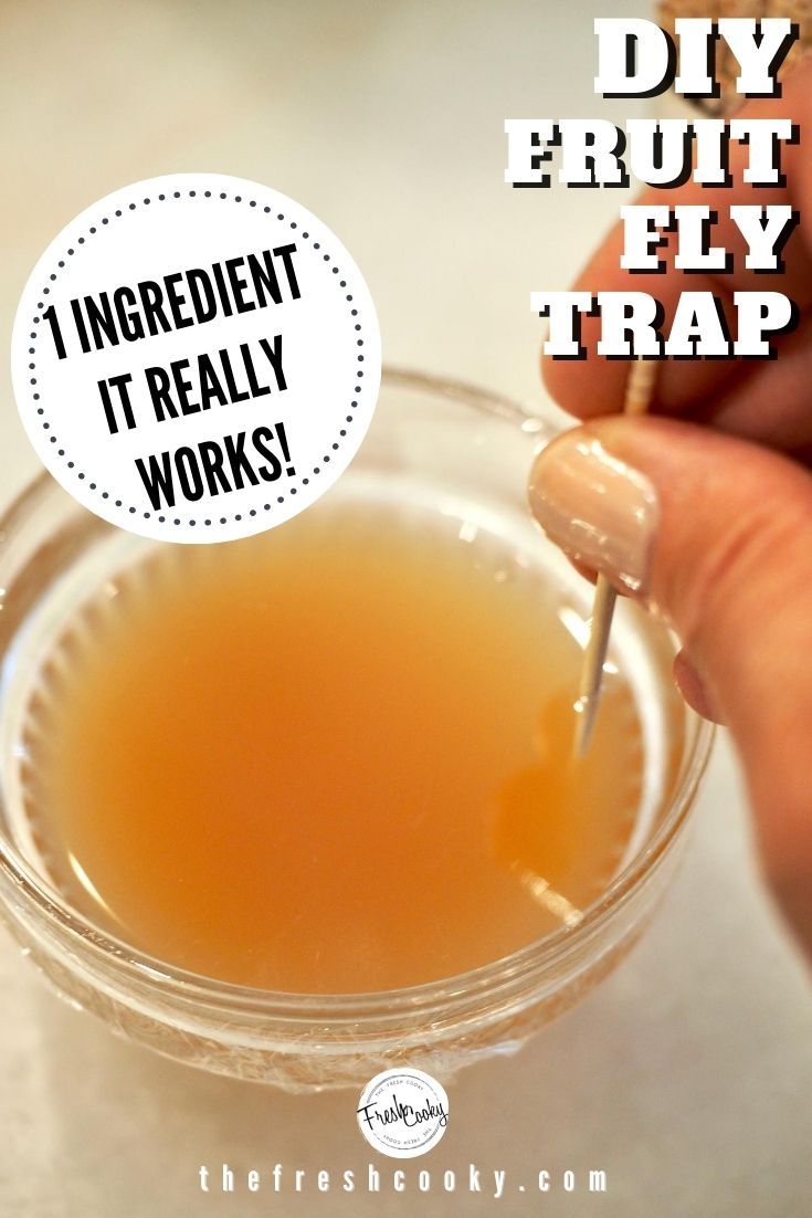 a person holding a spoon in a small glass bowl filled with liquid and the words diy fruit fly traps