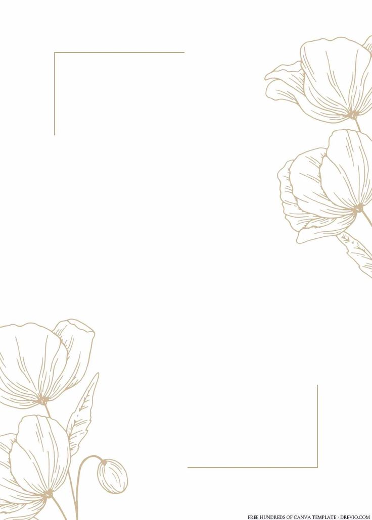 an image of flowers on a white background with a gold frame in the middle and bottom corner