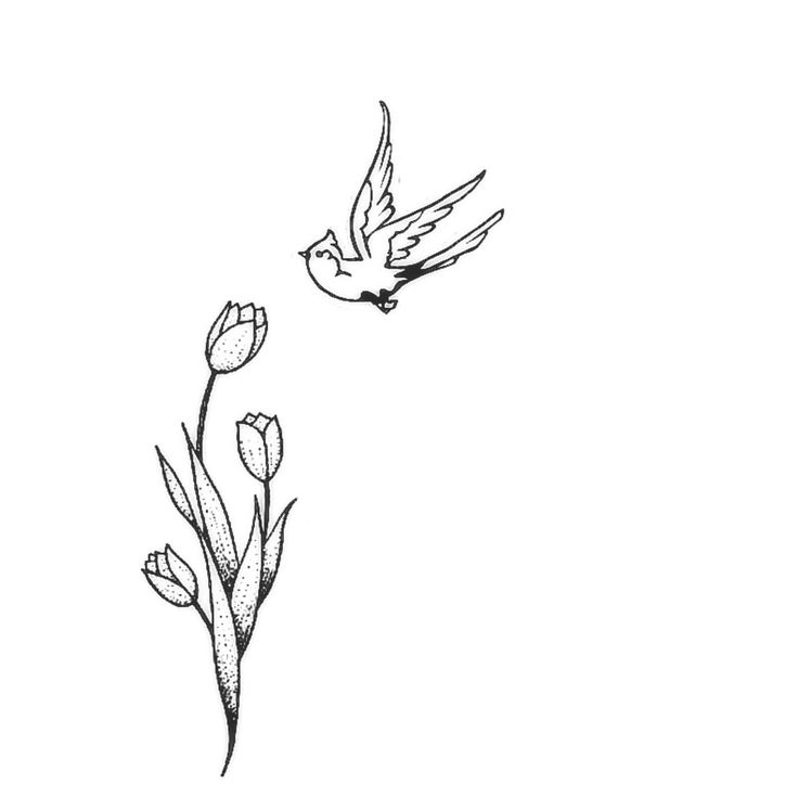 a bird flying next to a flower on a white background