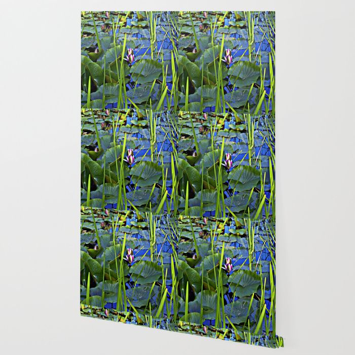 a wallpaper with green leaves and blue water lilies in the grass on a sunny day