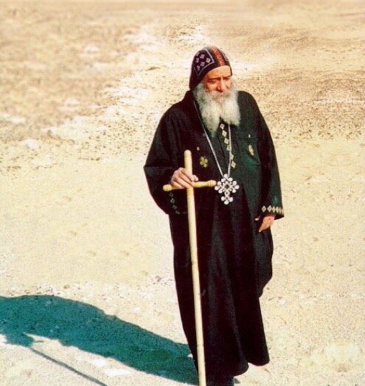 an old man with a long beard holding a stick in his hand and standing on the beach