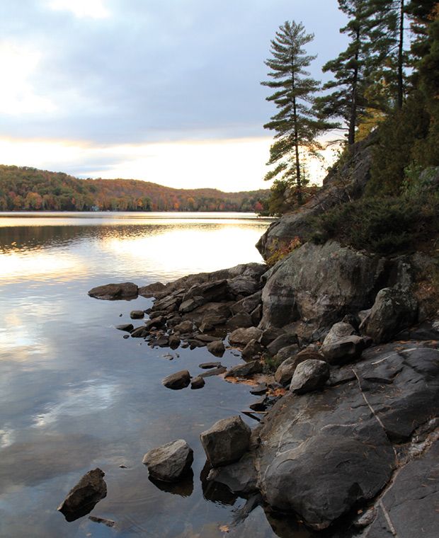 the shore of a lake surrounded by rocks and trees