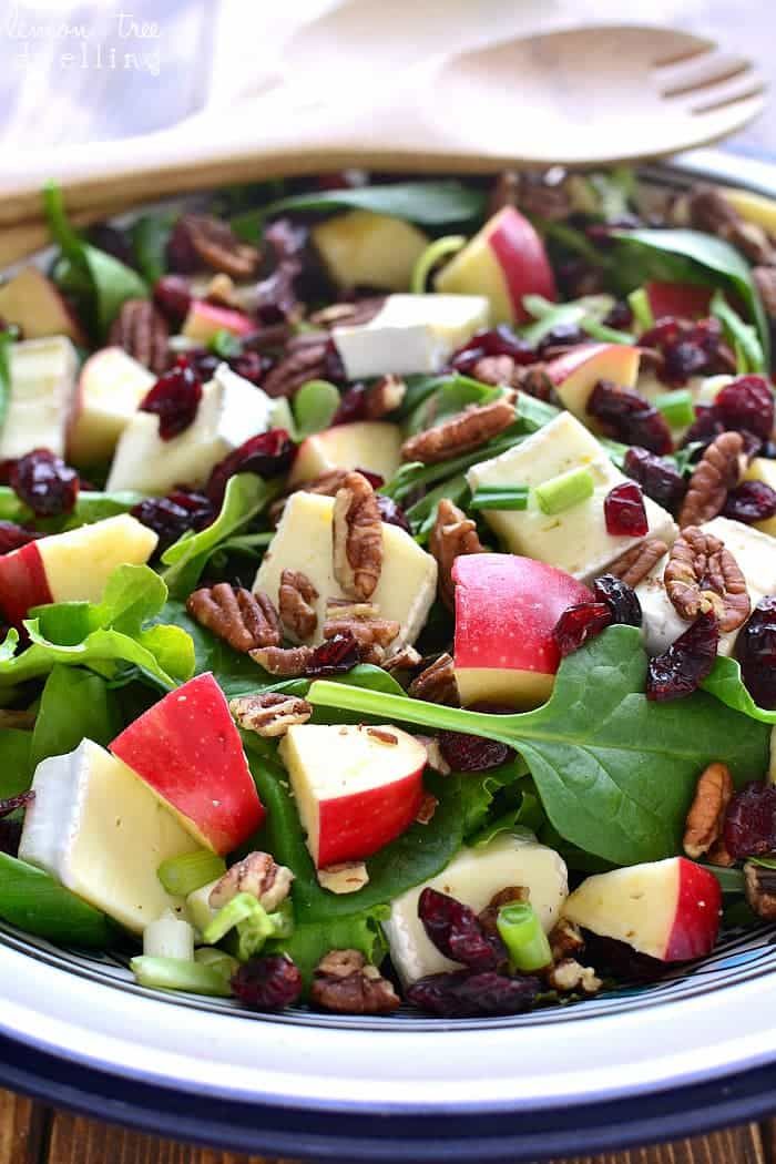 a salad with apples, cranberries, pecans and cheese on it is in a bowl