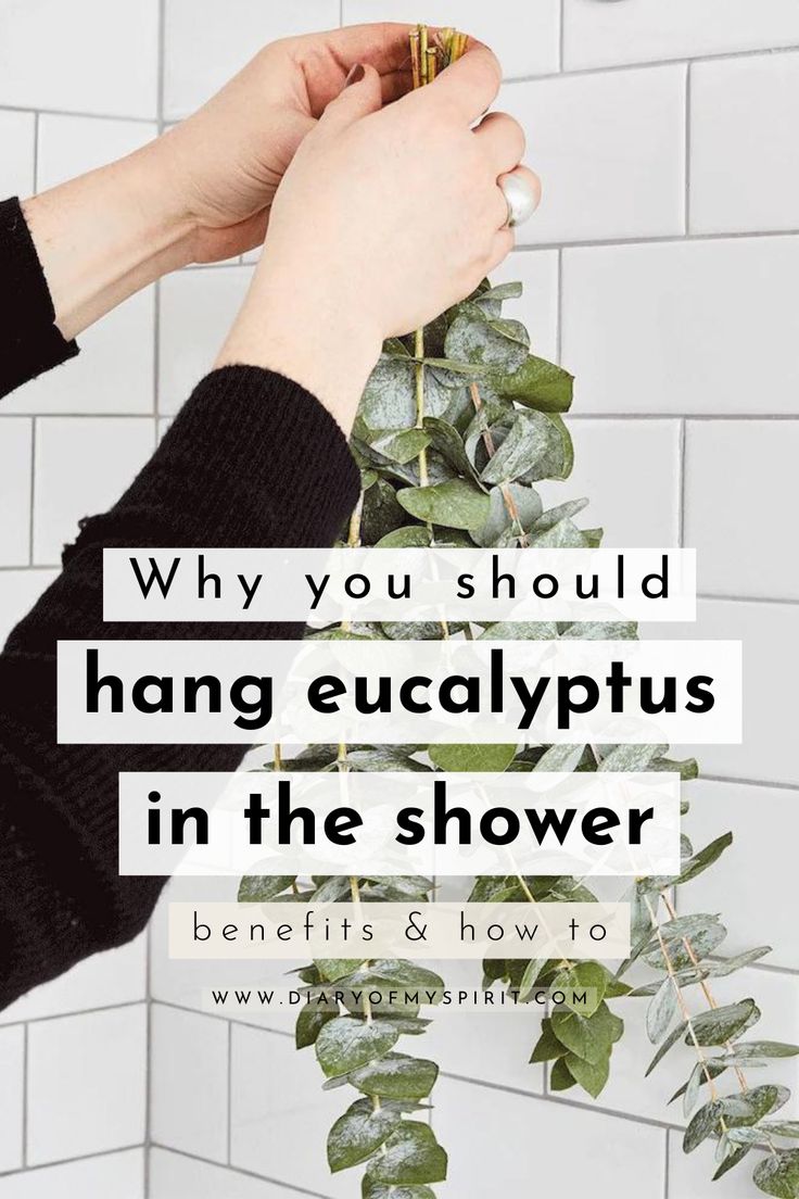 a person holding a plant with the words why you should hang eucalyptuss in the shower