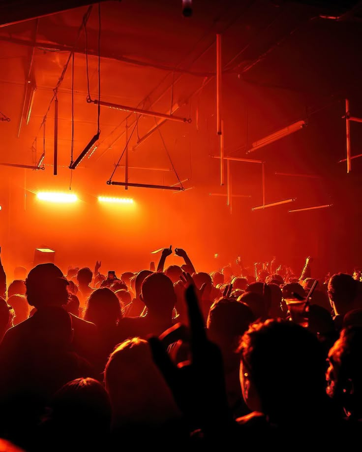 a group of people standing in front of a crowd at a music concert with their hands up