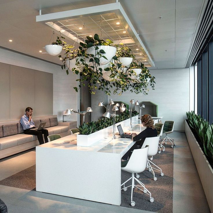 two people sitting at desks in an office with plants hanging from the ceiling above them