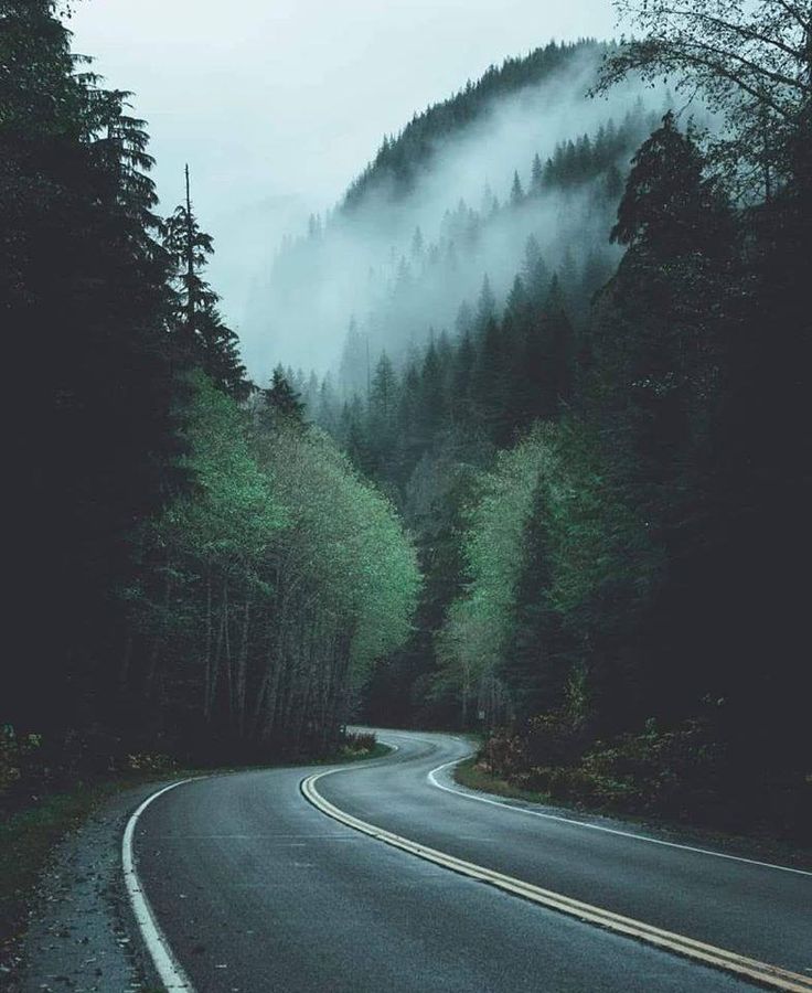 an empty road in the middle of a forest with fog on the mountains behind it