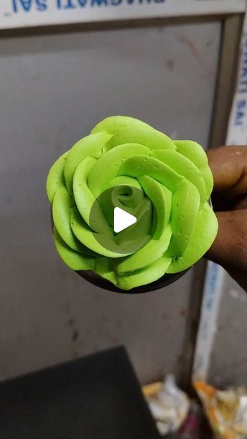 a person holding a green flower in their hand