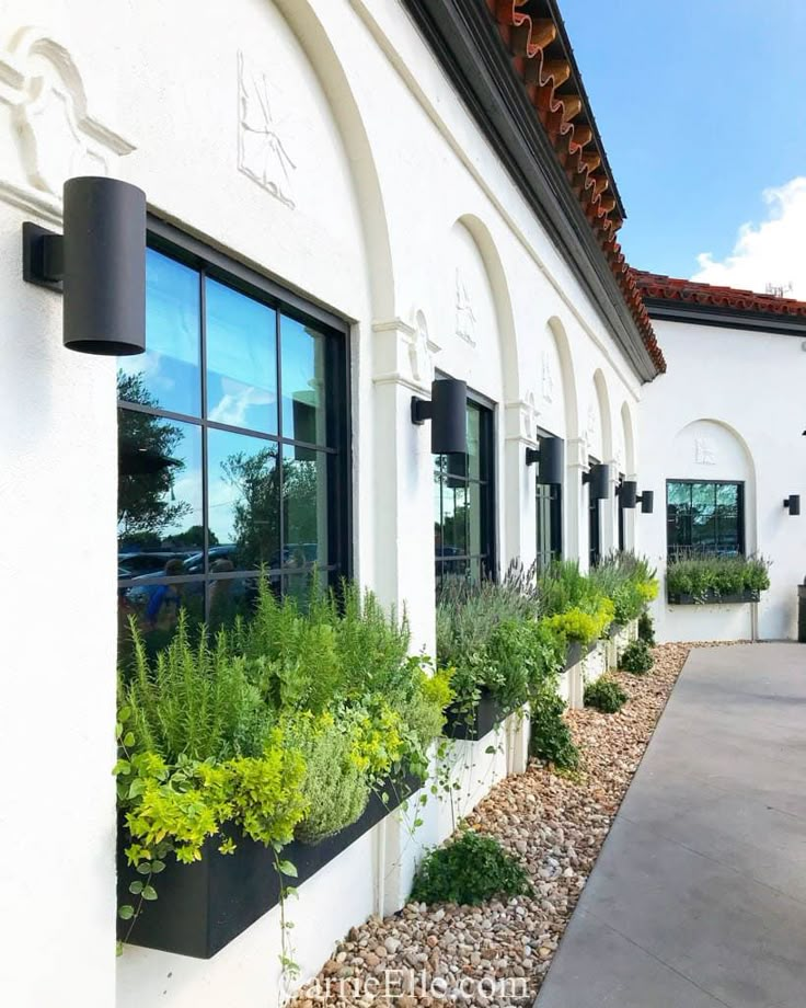 an outside view of a building with many windows and plants in the planter boxes