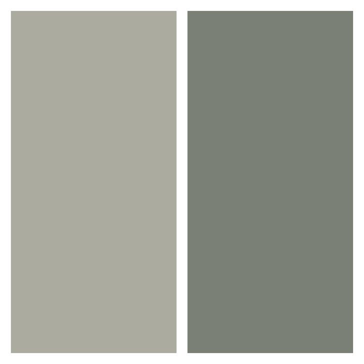 the same color scheme is shown in two different shades, one gray and one white