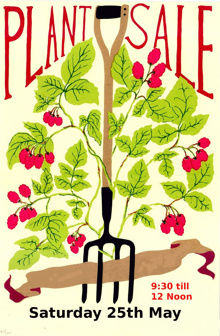 an advertisement for a plant sale with a fork in the ground and berries on it