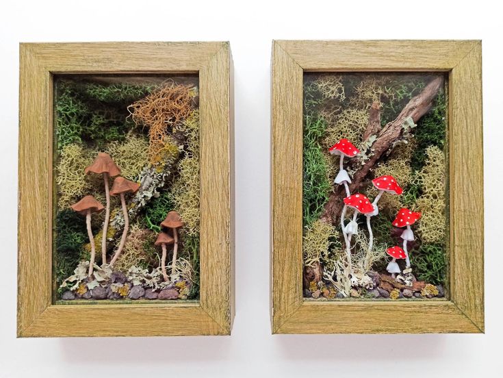 two framed pictures with mushrooms and moss in them