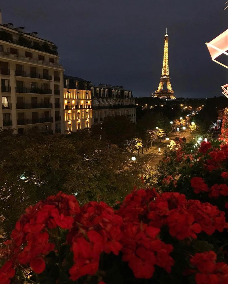 the eiffel tower is lit up at night with red flowers in foreground