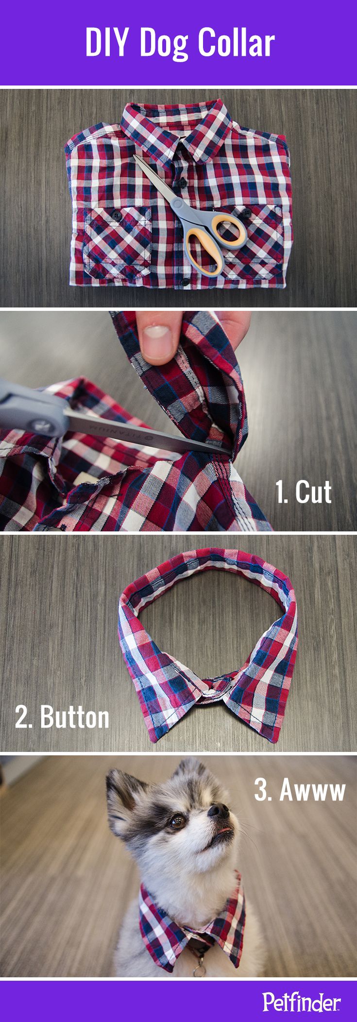 the instructions for how to tie a dog's collar and bow tie with scissors