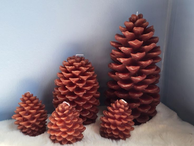 three red pine cones sitting next to each other