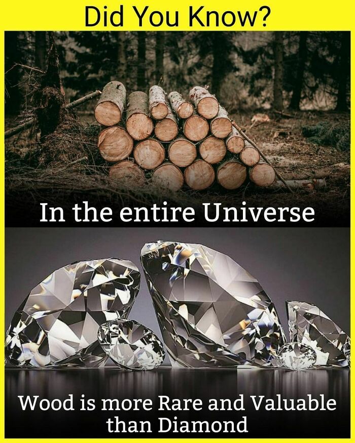 two different types of diamonds with the caption did you know? in the entire universe wood is more rare and valuable than diamond