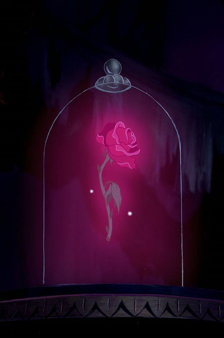 a pink rose in a glass case with the light on