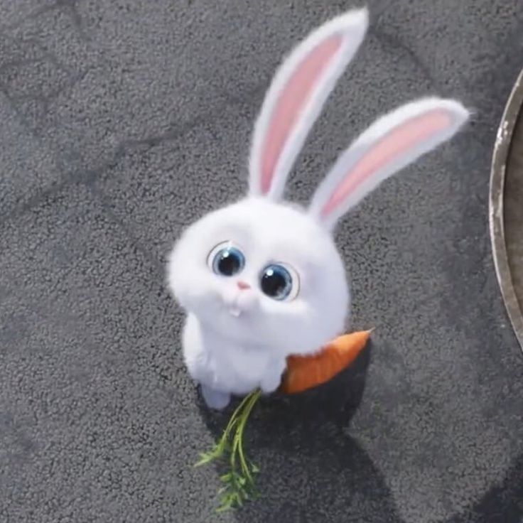 a white rabbit with big eyes eating a carrot