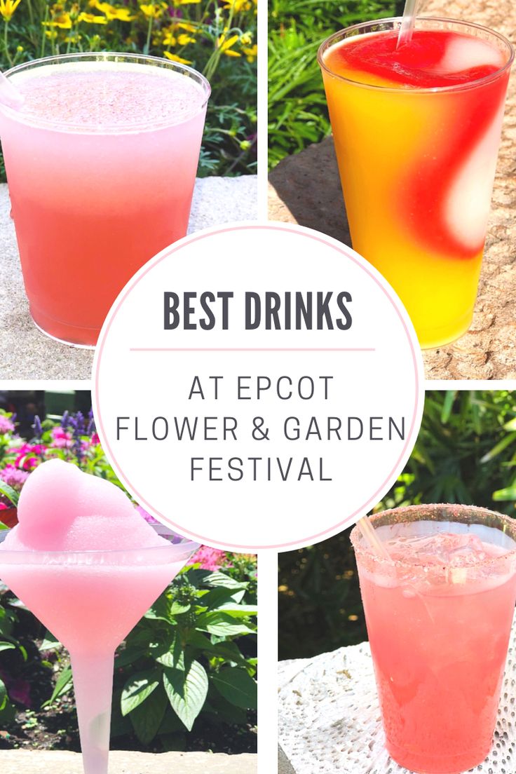 the best drinks at epcot flower and garden festival