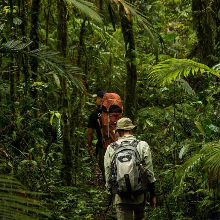 two people walking through the jungle with backpacks on their back and one person wearing a hat