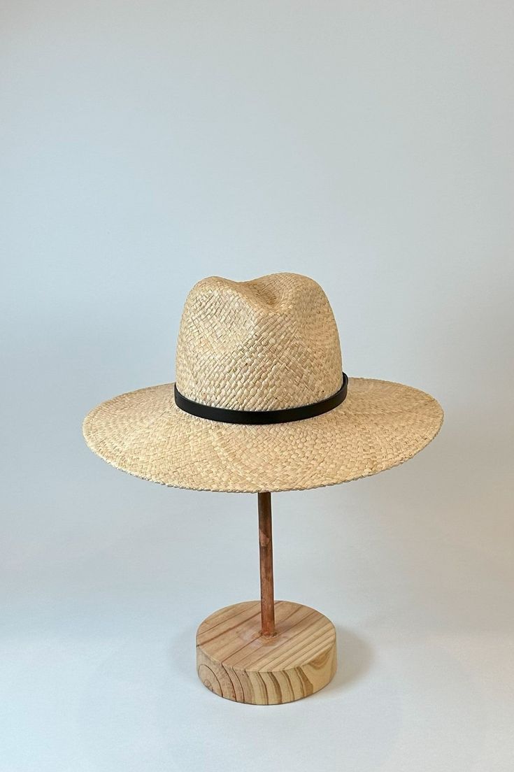 Straw panama hat with a black leather band Summer Fedora With Short Brim For Everyday, Summer Fedora In Toquilla Straw, Everyday Summer Fedora In Toquilla Straw, Everyday Summer Hats With Flat Crown, Spring Everyday Fedora Panama Hat, Everyday Summer Hat With Flat Crown, Summer Everyday Toquilla Straw Fedora, Straw Fedora With Flat Brim For Everyday, Everyday Straw Fedora With Short Brim