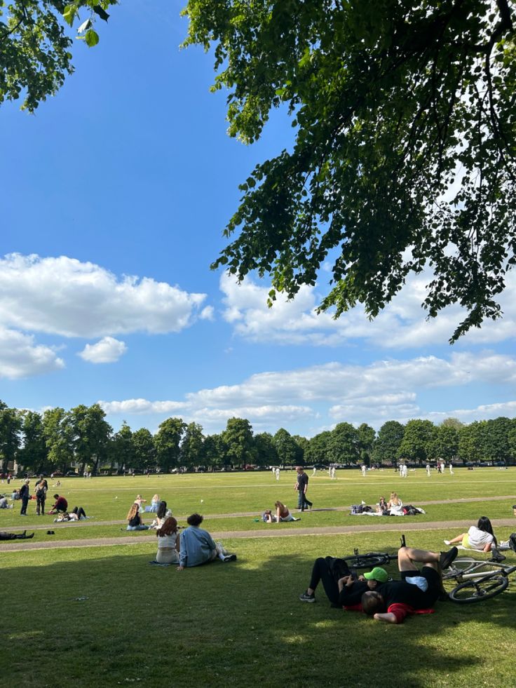 people sitting on the grass in a park