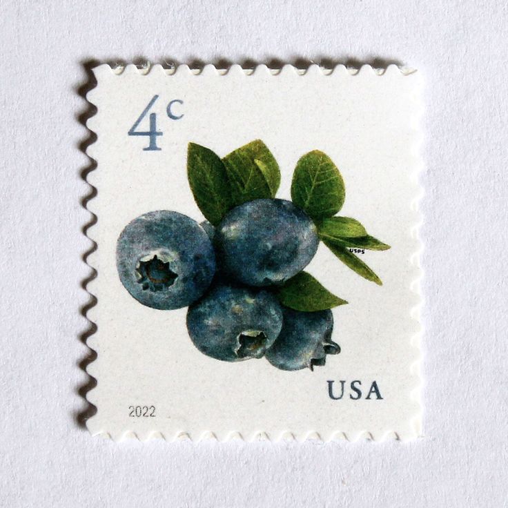 a stamp with some blueberries on it