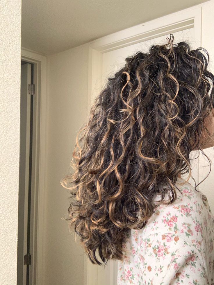 2c Curly Hair Balayage, 2c Hair With Layers, Curly Hair Colour Ideas Highlights, Brown Curly Hair Balayage, Hair Colour For Curly Hair, Long Layers Curly, Long Layers Curly Hair, 2c 3a Curly Hair, Curly Hair Balayage