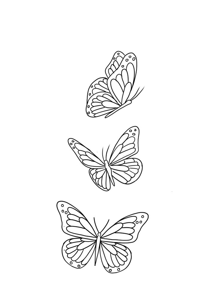 three butterflies flying in the sky with one on its back and one on its side