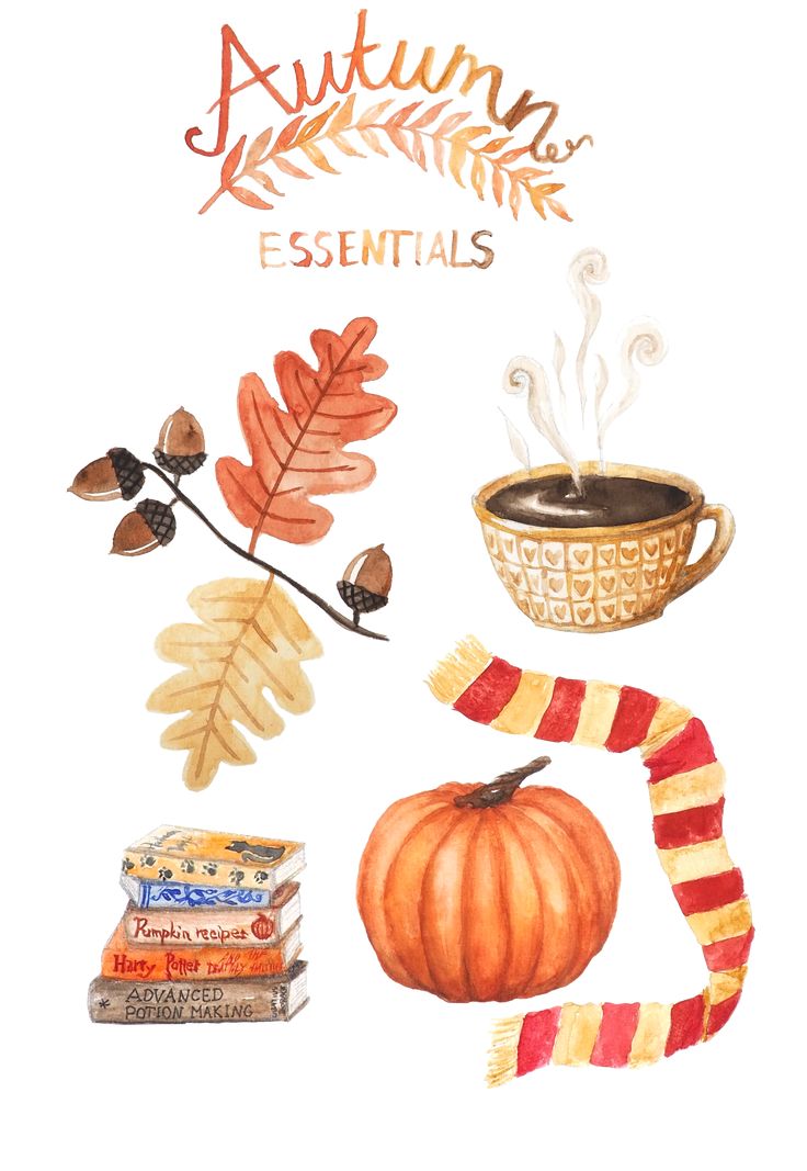 watercolor painting of autumn items including leaves, coffee cup and candy bar on white background