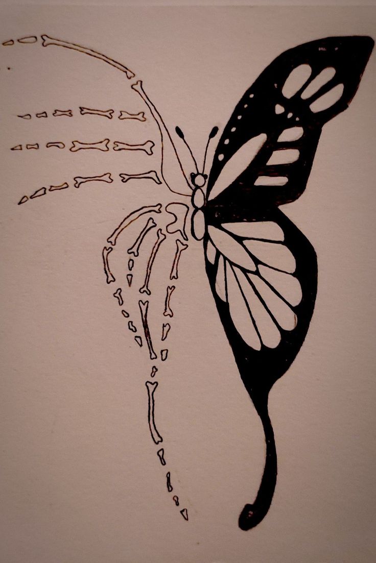 a black and white drawing of a butterfly on a sheet of paper with writing underneath it