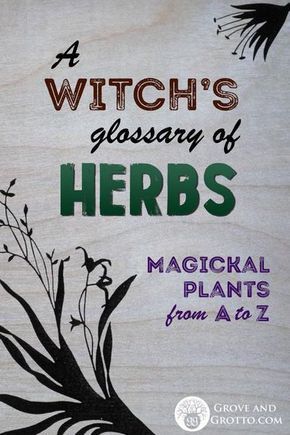 A handy key to the herbs of witchcraft. Each of the herbs listed has its own character and magickal properties. They are revealed to the Witch through study, me Must Have Spices And Herbs, Lemon Oil Magical Properties, Wiccan Herbs And Uses, Bittersweet Nightshade Witchcraft, Herbs For Truth Spell, Most Common Herbs Used In Witchcraft, Hyssop Magical Properties, Herbs List, Magickal Herbs