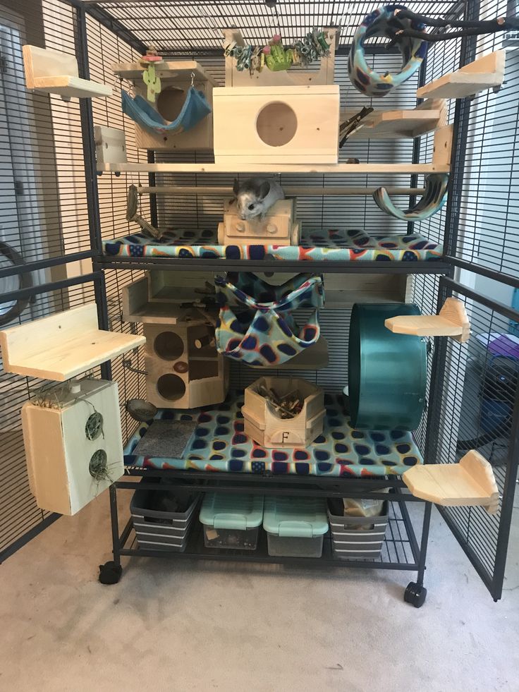 a bird cage filled with lots of different types of birds in it's cages