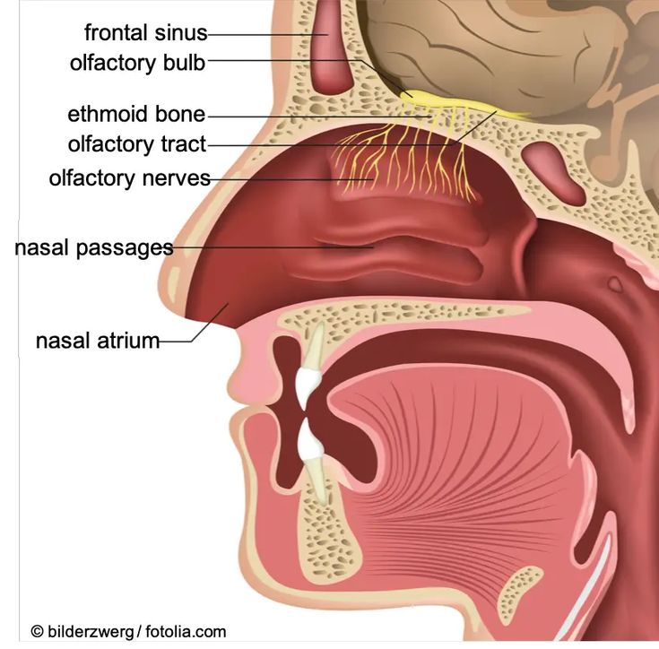 Clear Mucus From Throat, Mucus In Throat, Getting Rid Of Mucus, Sunburn Peeling, Getting Rid Of Phlegm, Bad Cough, Healthy Heart Tips, Blowing In The Wind, Health Blogger