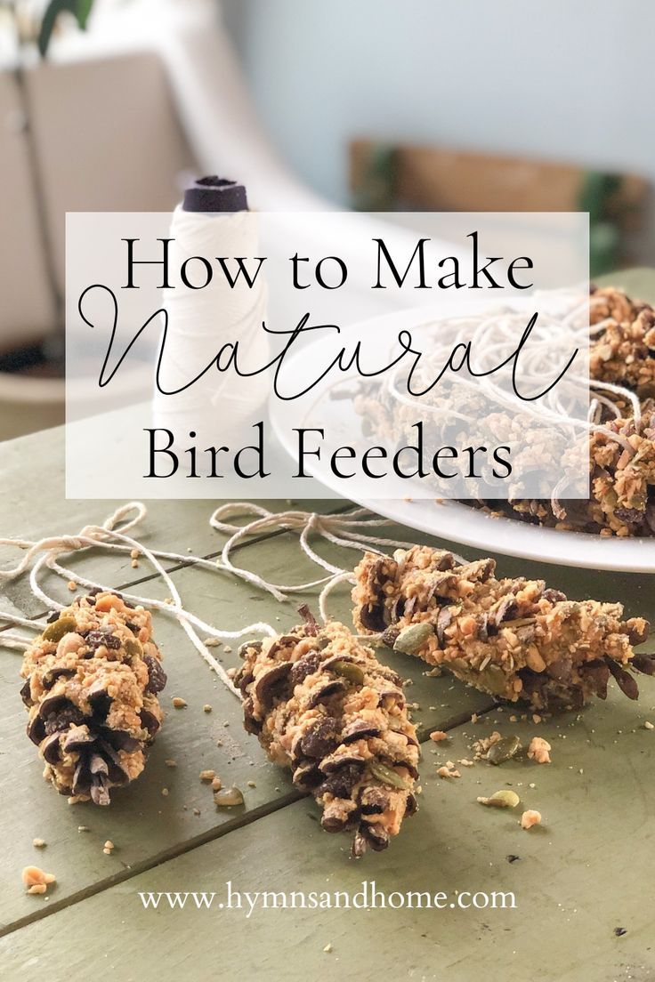 homemade bird feeders with text overlay that reads how to make natural bird feeders