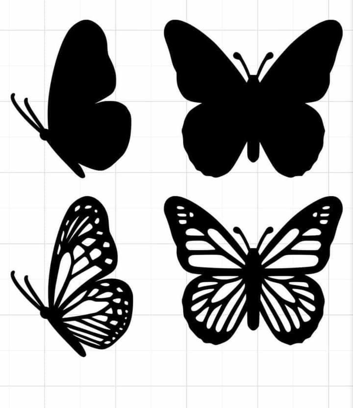 the silhouettes of three butterflies are shown in black and white, with one large butterfly on