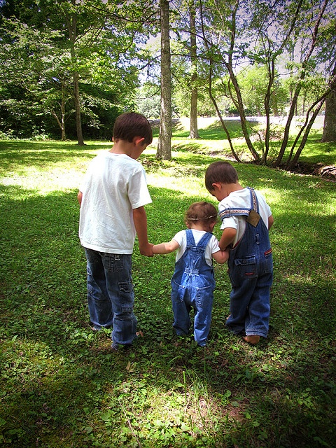 three young boys standing in the grass holding hands