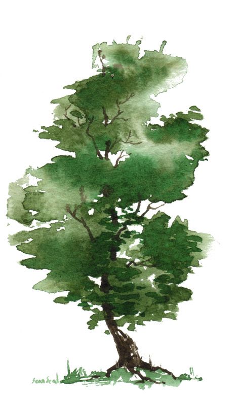 a watercolor painting of a tree with green leaves