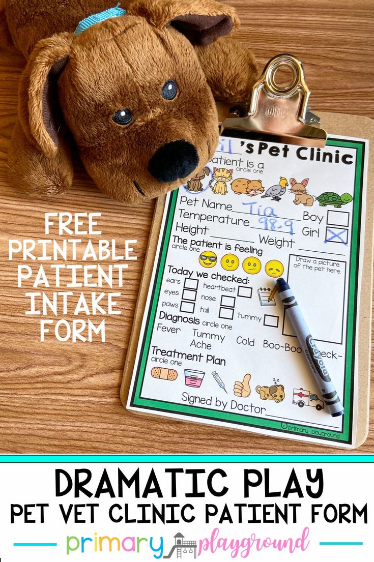 a free printable pet clinic play sheet with a stuffed animal on the floor next to it