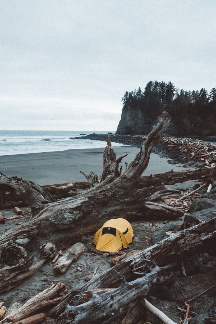 a yellow tent sitting on top of a beach next to a tree stump covered shore