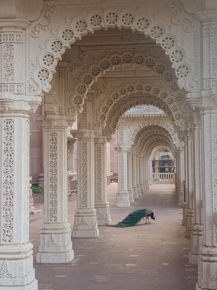 a peacock is sitting on the ground under an ornate archway with columns and arches around it