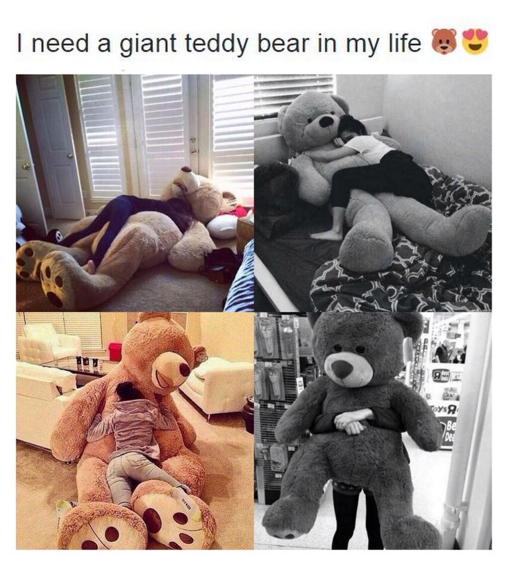 four different pictures with teddy bears in them and the caption says, i need a giant teddy bear in my life