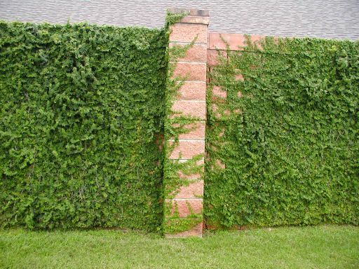 a tall brick pillar in front of a green hedge