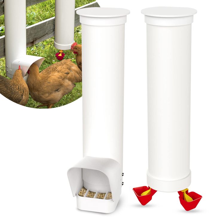 two chickens are eating out of their feeders and one is looking at the camera