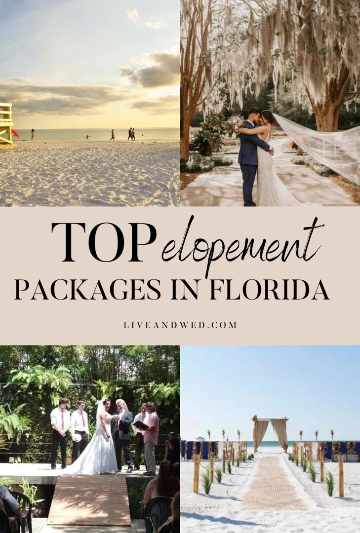 Top elopement packages in Florida Florida Airbnb Wedding, Florida Keys Elopement, Elopement Florida, Florida Wedding Venues Beach, Beach Wedding Florida, Free Wedding Venues, Small Beach Weddings, Gorgeous Landscapes, Art For Walls