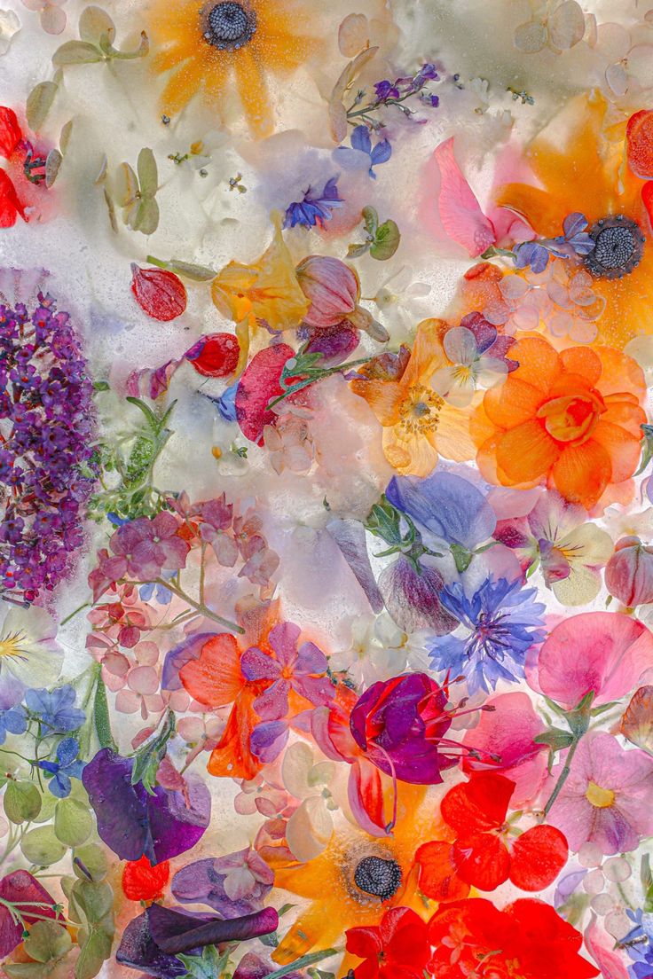 an image of colorful flowers in the air with water droplets on it's surface