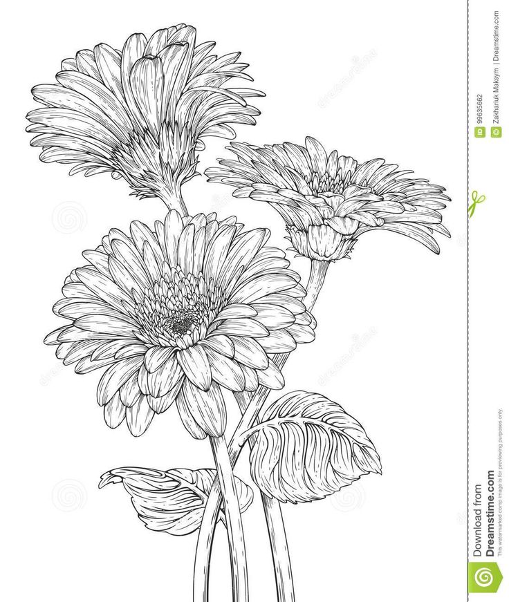 three large flowers in vases with leaves on the stems, black and white drawing