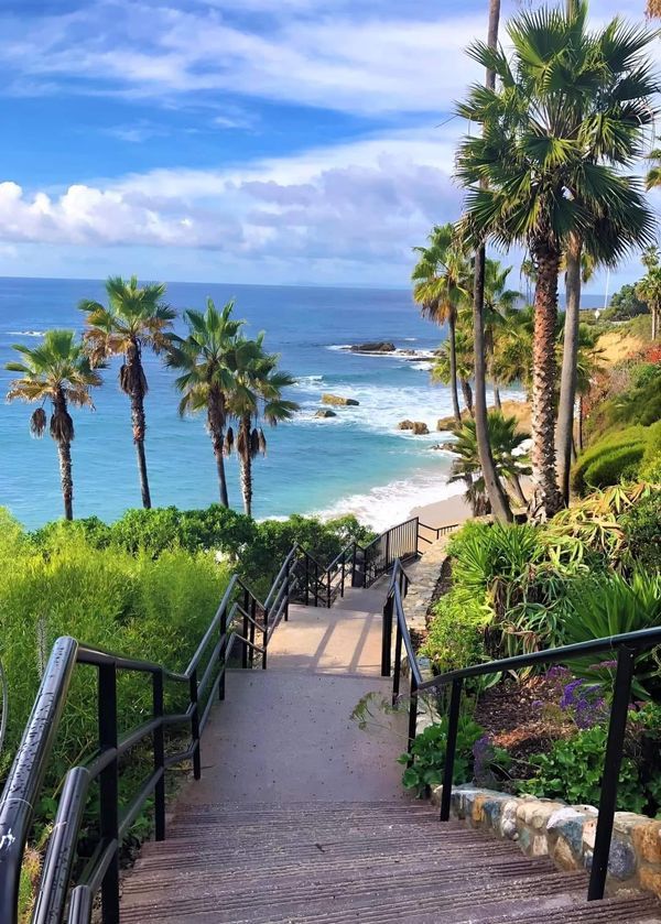 stairs leading down to the beach with palm trees