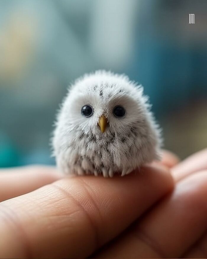 a tiny white owl sitting on top of someone's hand in front of a blurry background