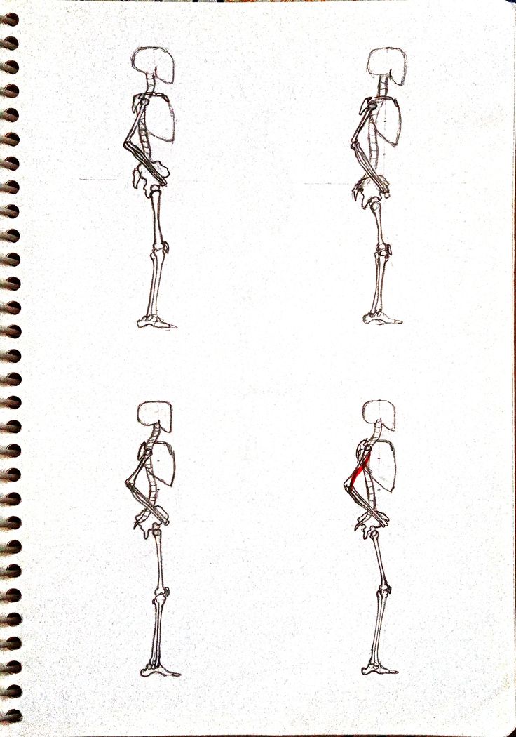 a drawing of three different human body parts